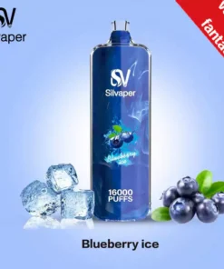 Silvaper Rocket 16000 Puffs disposable dtl 3mg Blueberry Ice