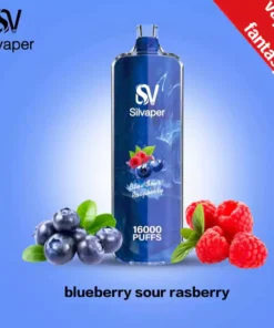 Silvaper Rocket 16000 Puffs disposable dtl 3mg Blueberry Sour Raspberry