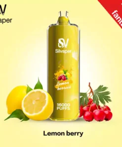 Silvaper Rocket 16000 Puffs disposable dtl 3mg Lemon_Berry