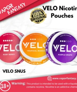 VELO Nicotine Pouches Dubai
