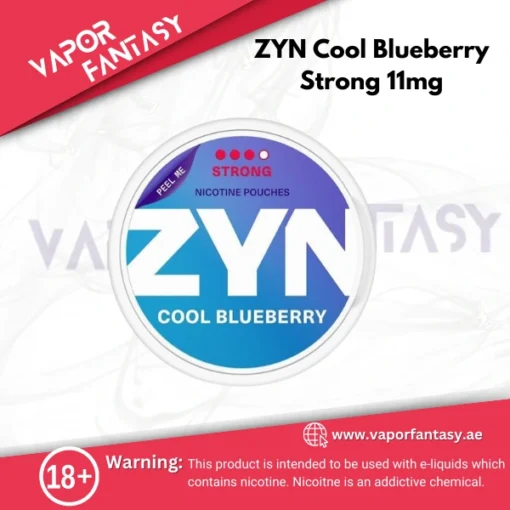 ZYN Cool Blueberry Strong 11mg