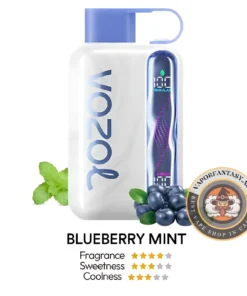 Vozol Star 40k BLUEBERRY MINT