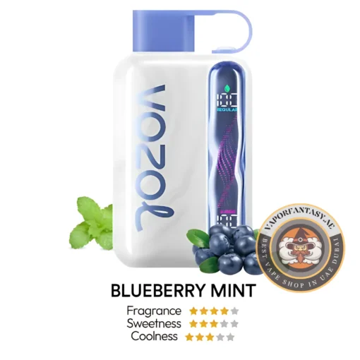 Vozol Star 40k BLUEBERRY MINT