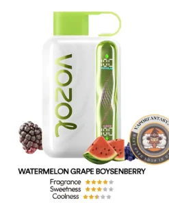 Vozol Star 40k WATERMELON GRAPE BOYSENBERRY
