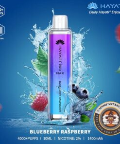 Hayati 4000 Puffs Blueberry Raspberry