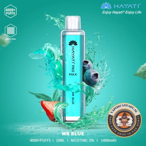 Hayati 4000 Puffs MR BLUE
